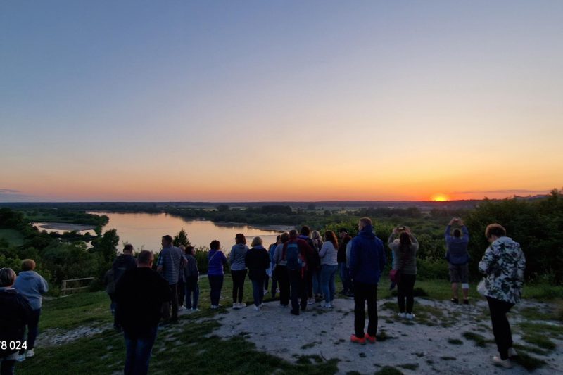 Albrechtówka i Wino