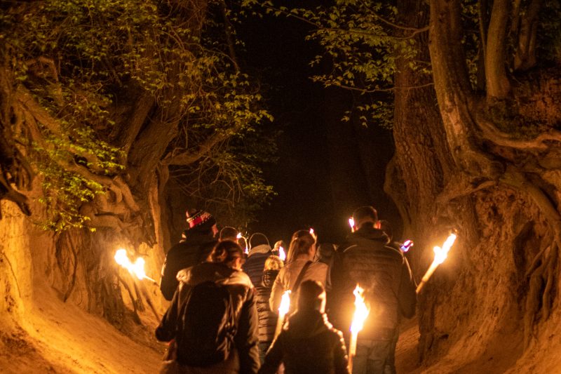 Aktywna przygoda w Kazimierzu Dolnym: Rowerami, ognisko i pochodnie w Wąwozie Korzeniowym